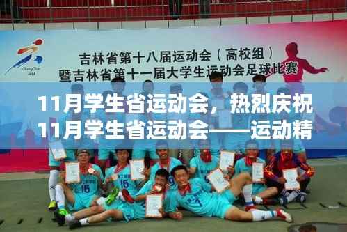 青春风采与运动精神的璀璨交汇,热烈庆祝11月学生省运动会