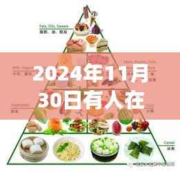 2024年11月30日美食盛宴,初学者也能掌握的享受美食技巧