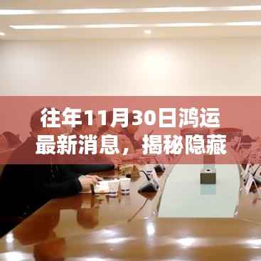 公司概况 第498页