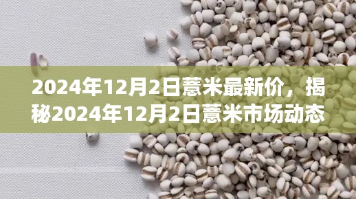 揭秘,2024年薏米市场动态与最新价格趋势分析(附详细日期)