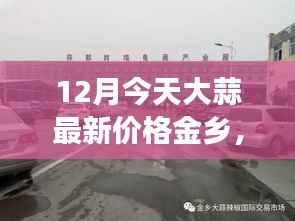 揭秘金乡大蒜市场最新动态,大蒜价格走势及最新价格分析
