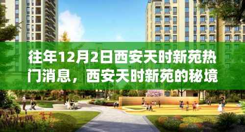 西安天时新苑秘境之旅,寻找内心平静的热门体验之旅
