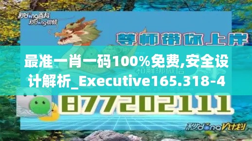 最准一肖一码100%免费,安全设计解析_Executive165.318-4