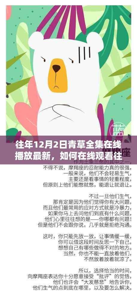青草全集在线观看指南,初学者与进阶用户如何观看往年12月2日最新剧集