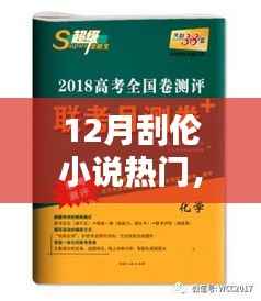深度测评与介绍,12月热门刮伦小说风潮来袭