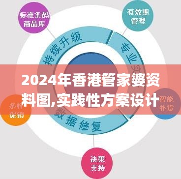 2024年香港管家婆资料图,实践性方案设计_VR版80.375-9