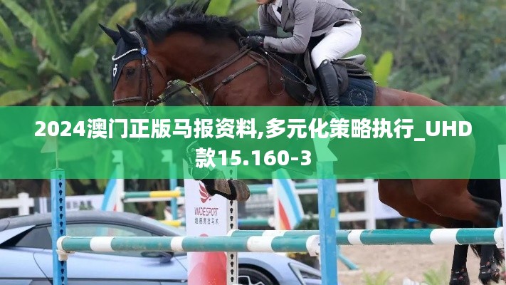 2024澳门正版马报资料,多元化策略执行_UHD款15.160-3