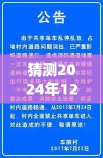 漳客网官陂探寻自然秘境，心灵之旅启程于2024年12月的新发现