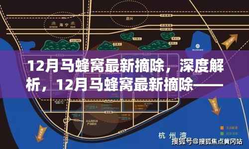 深度解析,12月马蜂窝最新摘除——特性、体验、竞品对比及全面用户群体分析