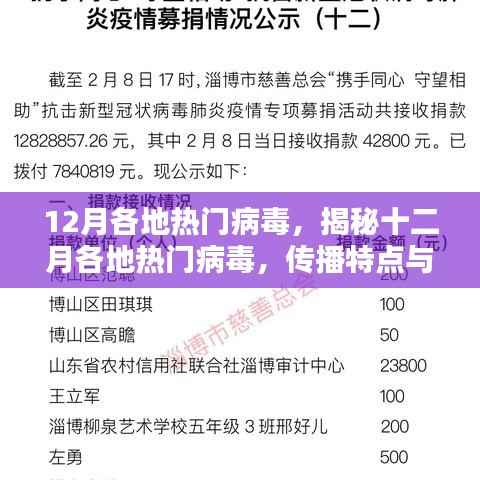 揭秘十二月各地热门病毒,传播特点与防控措施全解析