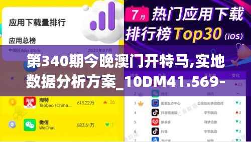 第340期今晚澳门开特马,实地数据分析方案_10DM41.569-9