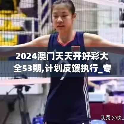 2024澳门天天开好彩大全53期,计划反馈执行_专属款14.585