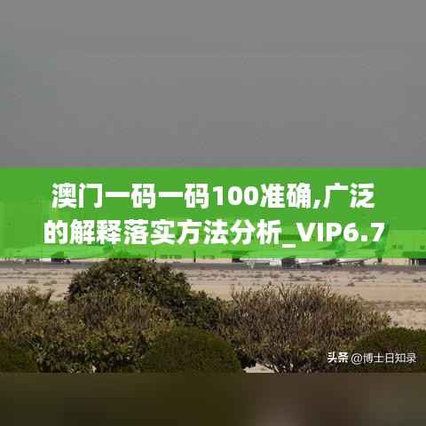 澳门一码一码100准确,广泛的解释落实方法分析_VIP6.776