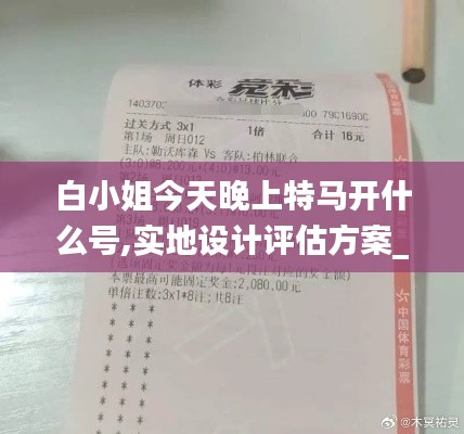 白小姐今天晚上特马开什么号,实地设计评估方案_理财版9.523