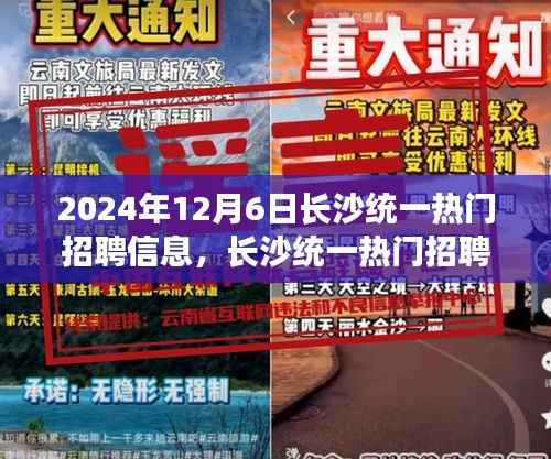 长沙热门招聘信息现象,机遇与挑战并存,2024年长沙统一招聘日深度解析