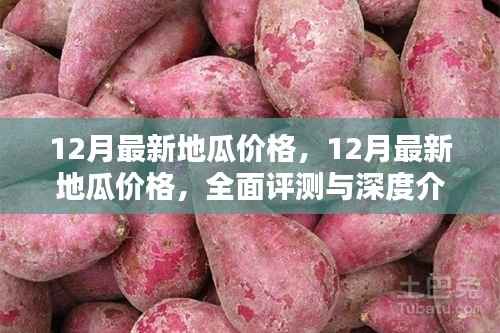 12月最新地瓜价格,12月最新地瓜价格,全面评测与深度介绍