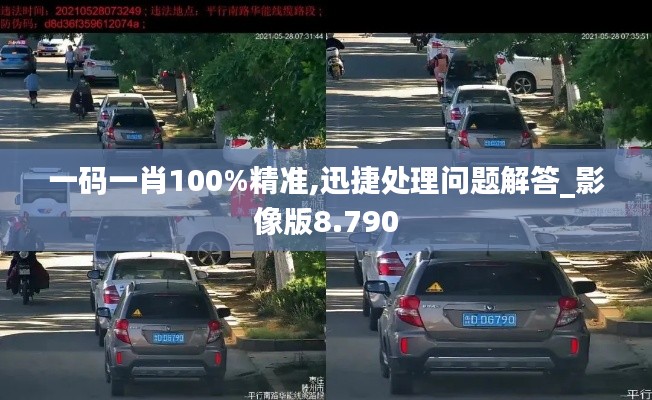 一码一肖100%精准,迅捷处理问题解答_影像版8.790