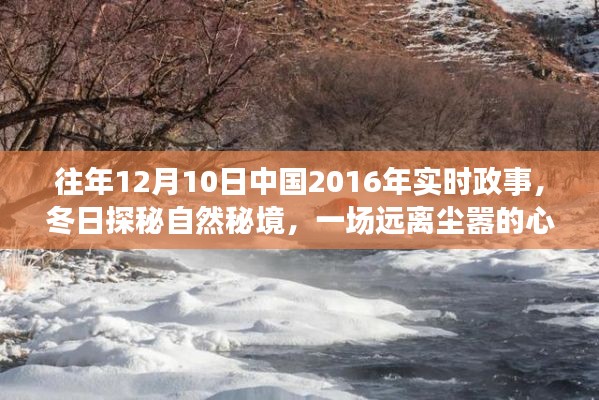 冬日探秘自然秘境,中国实时政事下的心灵之旅(2016年)