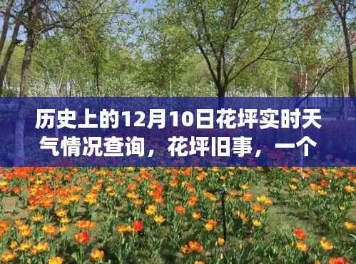 十二月十日花坪旧事，历史天气查询与温馨回忆