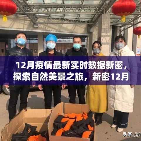 新密12月疫情后的宁静秘境探索,疫情数据与心灵之旅的奇妙交织