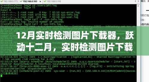 跃动十二月,实时检测图片下载器的励志之旅,拥抱变化自信追梦