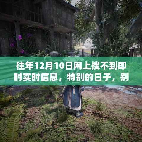 特别日子的信息奇遇,温馨故事中的回忆与实时信息的探寻
