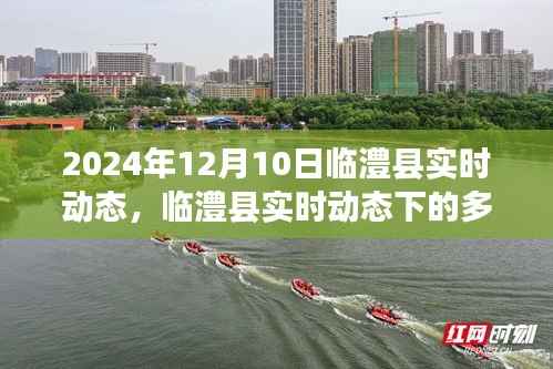 临澧县实时动态观察报告，多元视角下的深度探析（2024年12月10日观察点）