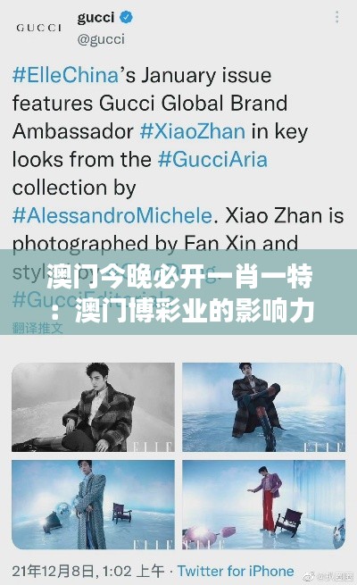 澳门今晚必开一肖一特:澳门博彩业的影响力分析