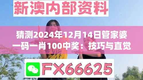 猜测2024年12月14日管家婆一码一肖100中奖:技巧与直觉的博弈