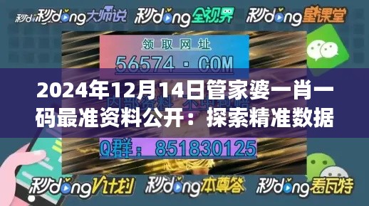 2024年12月14日管家婆一肖一码最准资料公开:探索精准数据的力量