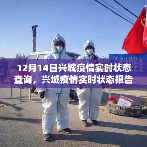 兴城疫情实时状态报告,聚焦十二月十四日的抗疫前线动态