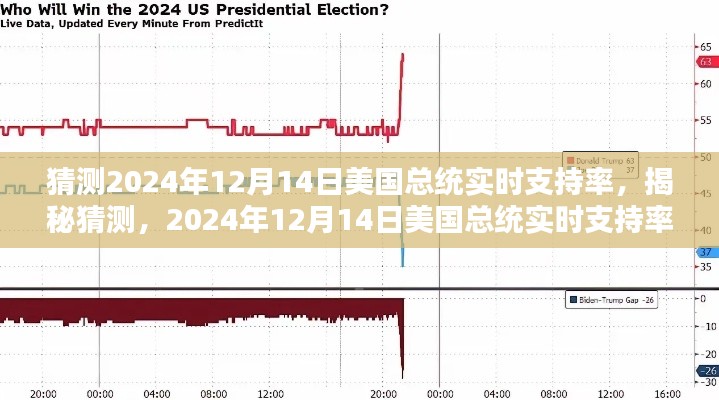 揭秘猜测,分析预测2024年12月14日美国总统实时支持率走势及预测分析