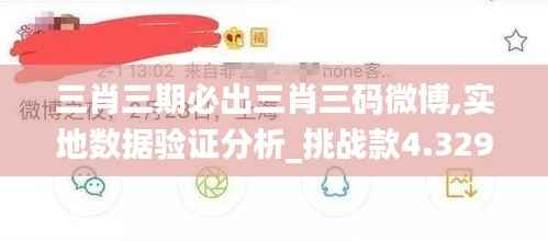 三肖三期必出三肖三码微博,实地数据验证分析_挑战款4.329