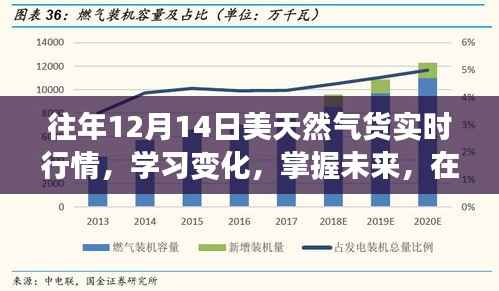 往年12月14日美国天然气实时行情解析,洞悉变化,把握未来,找寻自信与成就之路