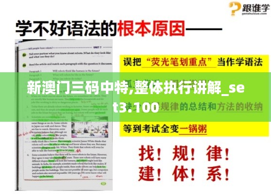 新澳门三码中特,整体执行讲解_set3.100