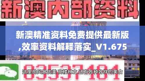 新澳精准资料免费提供最新版,效率资料解释落实_V1.675