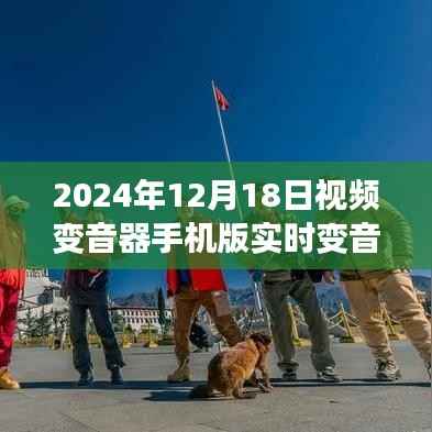 声音之旅的奇妙缘分，手机变音器背后的故事与温馨故事