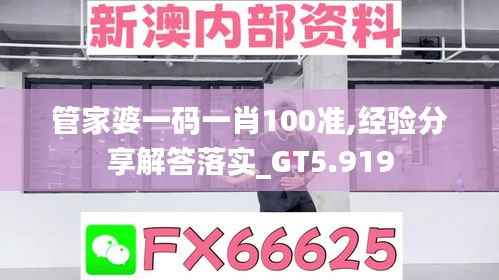 管家婆一码一肖100准,经验分享解答落实_GT5.919