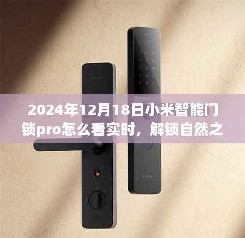 小米智能门锁Pro,探寻内心平静的旅程,实时查看解锁之门的新体验
