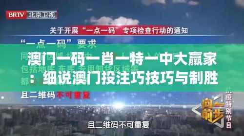 澳门一码一肖一特一中大羸家:细说澳门投注巧技巧与制胜之道