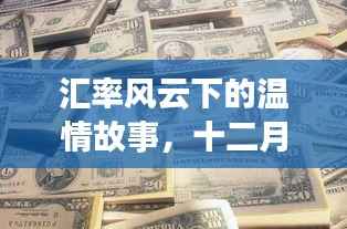汇率风云下的温情故事,一美元之旅的十二月篇章