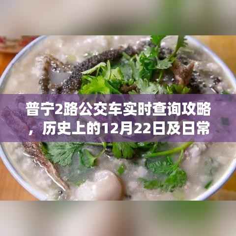 普宁2路公交车实时查询攻略，历史日期与日常查询步骤详解