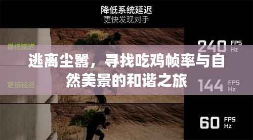 逃离尘嚣,吃鸡帧率与自然美景的和谐探索之旅
