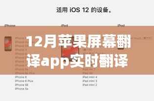 苹果屏幕翻译app实时翻译故障解析