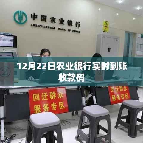 农业银行实时收款到账通知,12月22日收款码详解