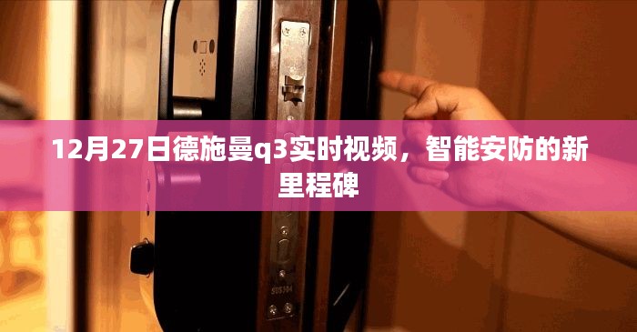 德施曼Q3实时视频,智能安防新标杆
