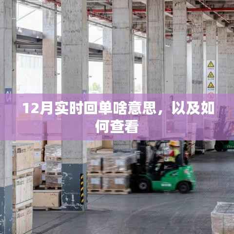 实时回单解读与查看方法,12月操作指南