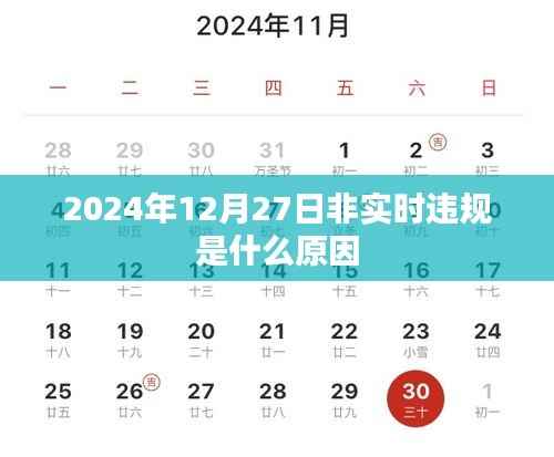 非实时违规原因解析,2024年12月27日数据解读
