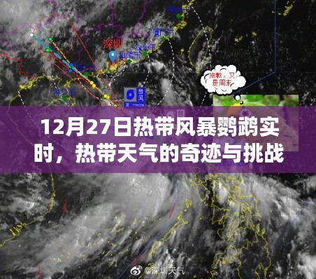 热带风暴鹦鹉最新动态,奇迹与挑战并存