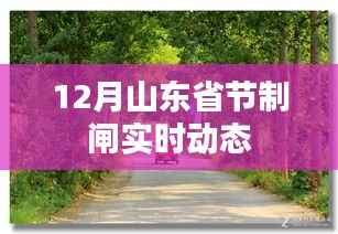 山东节制闸最新实时动态(12月)